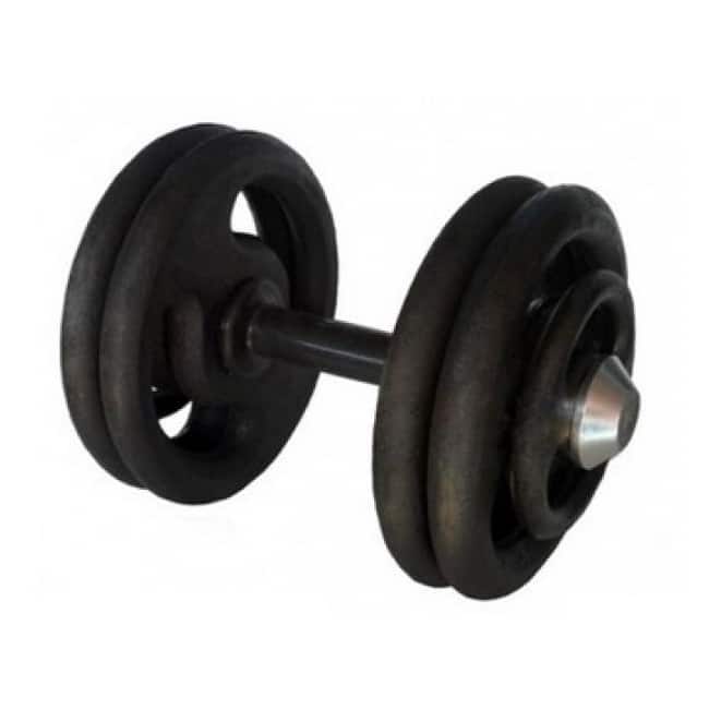 Dumbell Pintado - Flex Equipment