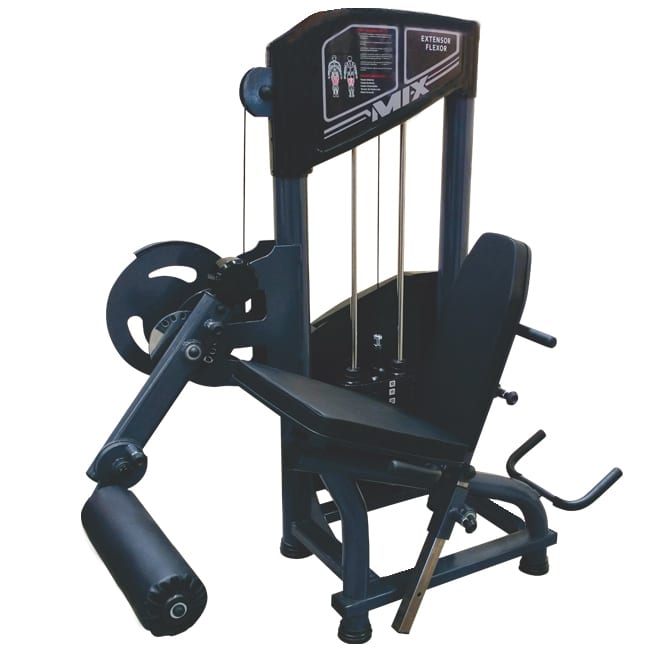 Flex Equipment - Flexor Deitado – Mesa Flexora