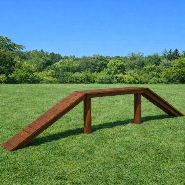 RAMPA DE EQUILÍBRIO – PET PLACE - Flex