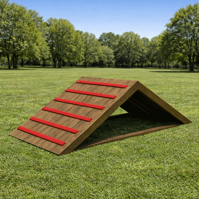 RAMPA DE ESCALADA – PET PLACE - Flex