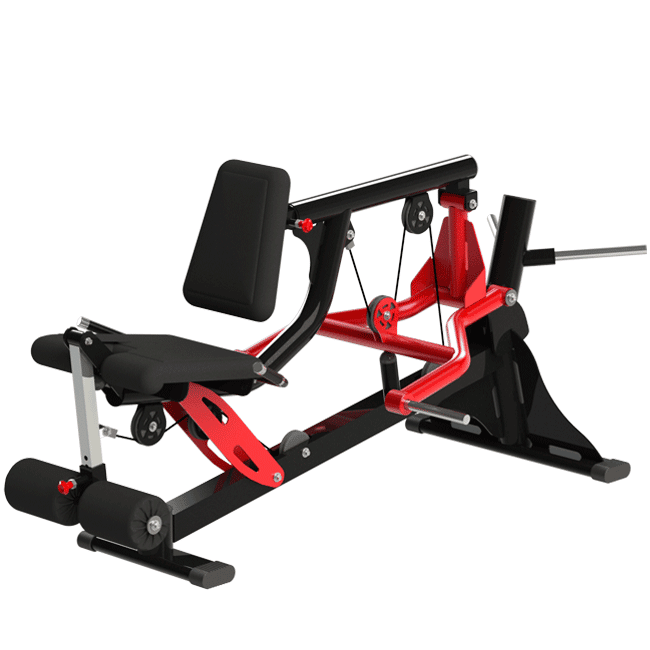 LEG PRESS HORIZONTAL G4 – Ergolife