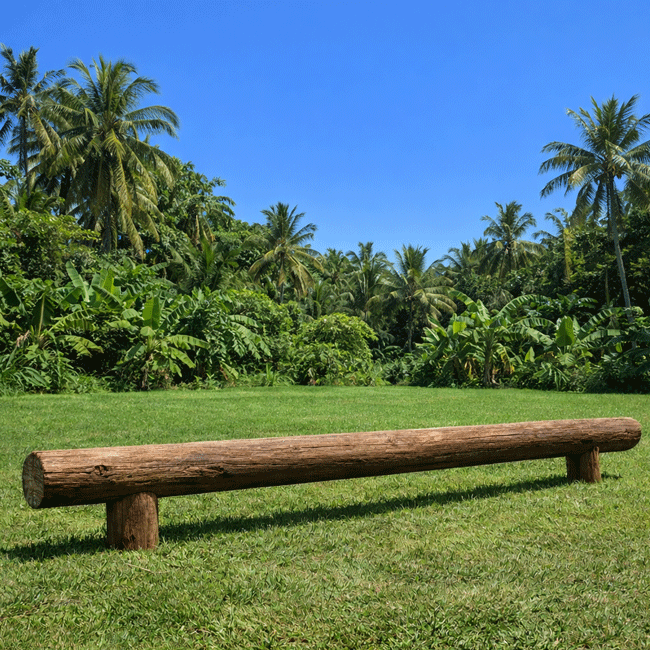 Tora de Equilíbrio - Flex